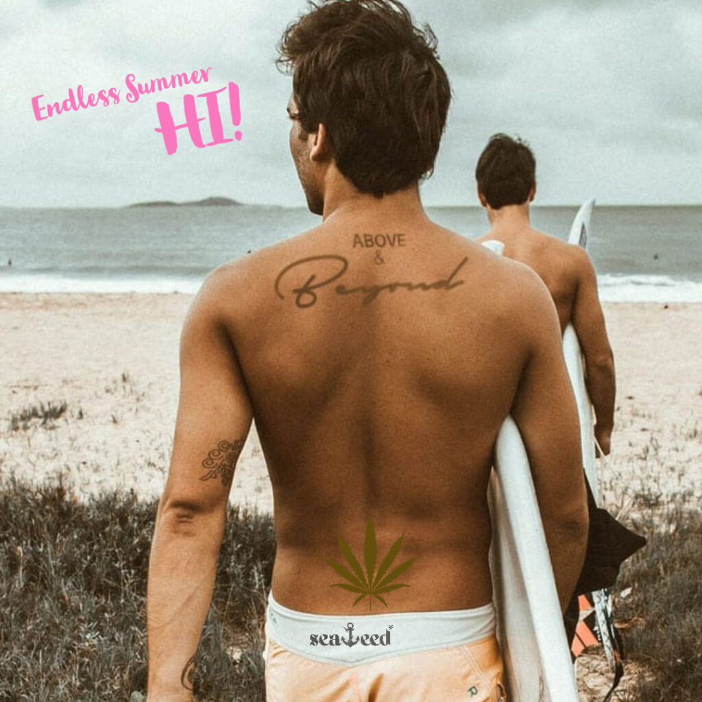 Boyz of Summer at Seaweedsf