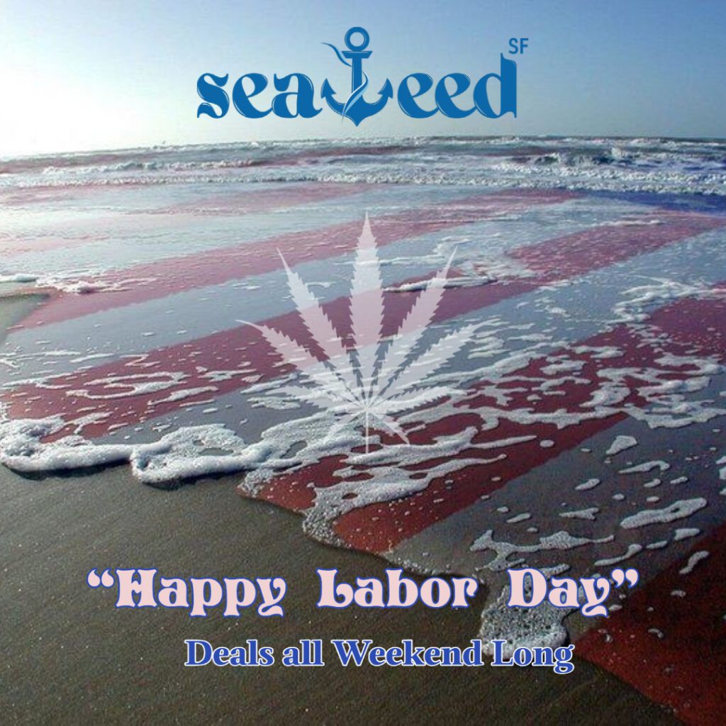 Labor Day Deals at Seaweed SF