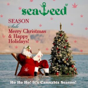 Great Holiday Deals at Seaweed SF