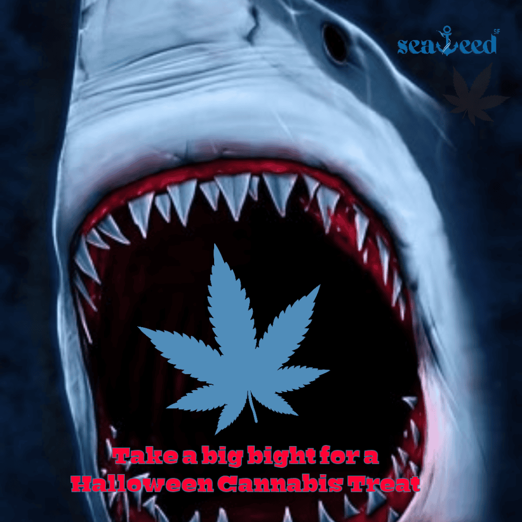 Spooky Halloween cannabis promotion image